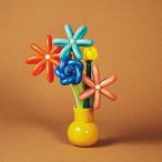 CD/マカロニえんぴつ/ハッピーエンドへの期待は (通常盤)