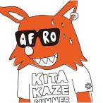 Yahoo! Yahoo!ショッピング(ヤフー ショッピング)CD/A.F.R.O/北風サマー