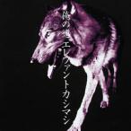 CD/¥¨¥ì¥Õ¥¡¥ó¥È¥«¥·¥Þ¥·/²¶¤ÎÆ»