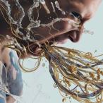 CD/MIYAVI/Imaginary (CD+DVD) (初回限定盤B)