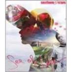 CD/サザンオールスターズ/涙の海で抱か