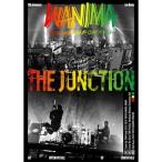 ショッピング21夏 ▼DVD/WANIMA/WANIMA 10th Anniversary Live Movies THE JUNCTION (本編ディスク2枚+特典ディスク1枚)【Pアップ