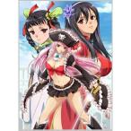 BD/TVアニメ/クイーンズブレイド リベリオン Vol.4(Blu-ray)