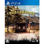  б/у PS4 soft Truberbrook