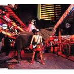 中古アニメ系CD シートベルツ Ask DNA / カウボーイビバップ〜Knockin’on heaven’s door〜