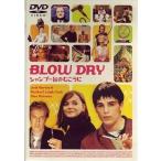 中古洋画DVD BLOW DRY