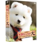 中古国内TVドラマDVD 連続テレビドラマ 犬飼さんちの犬 DVD-BOX