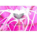 中古邦楽DVD BONNIE PINK / B.P.V. VOL.2(1999-2003)