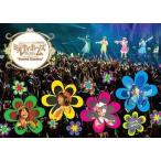 中古邦楽DVD ミルキィホームズ / Live Tour 2011 ”Secret Garden”