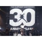 中古邦楽DVD エレファントカシマシ / THE ELEPHANT KASHIMASHI 30t