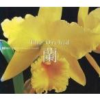  б/у Windows3.1 орхидея The Orchid