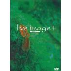 中古その他DVD オムニバス /live image+-010531