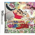 クレヨンしんちゃん 嵐を呼ぶ ねんどろろ〜ん大変身！/ニンテンドーDS