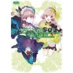 中古攻略本PS4-NS-PSV-PC ≪RPG(ロールプレイングゲーム)≫ リディー＆スールのアトリエ 不思議な絵画の錬金術士 ザ・コンプ