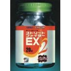 中古アニメムック ≪コンシューマゲーム書籍≫ シークレットファイル ストリートファイターEX2