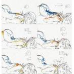中古アニメムック ≪アニメ・漫画系書籍≫ 化物語 #10 c248 Key Animation sheet Set