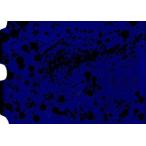 中古パンフレット ≪パンフレット≫ パンフレット 傷物語 II 熱血篇