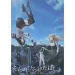 中古同人ノベル DVDソフト そらのひらけたばしょ(VER3.0) / 文芸部