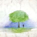 中古同人音楽CDソフト Colors/Forest / まもも家