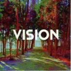 中古同人音楽CDソフト VISION / 深夜放送