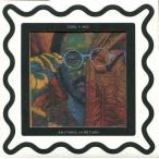 中古輸入洋楽CD TORO Y MOI/ANYTHING IN RETURN[輸入盤]