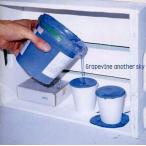 中古邦楽CD グレイプバイン/another sky
