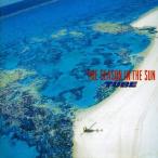 中古邦楽CD TUBE / THE SEASON IN THE SUN(廃盤)