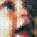 中古邦楽CD HUSKING BEE / the steady-state theory