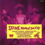 中古邦楽CD BLANKEY JET CITY / SKUNK