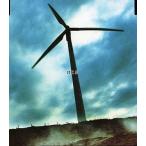 中古邦楽CD RK Standard feat.KOKIA / goes on forever