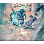 中古邦楽CD Galneryus / The Flag Of Punishment