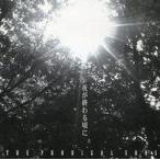 中古邦楽CD THE PRODIGAL SONS / 夜が終わる頃に