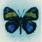 中古邦楽CD ART-SCHOOL/Flora