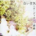 中古邦楽CD caroline rocks / 白い空気とカーディガンと頭痛