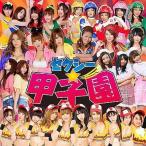 中古邦楽CD セクシー☆オールシスターズ / セクシー☆甲子園