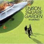 中古邦楽CD UNISON SQUARE GARDEN/スカースデイル/カウンターアイ