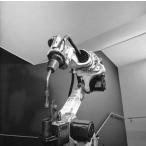 中古邦楽CD WHITE ASH / SPADE 3[DVD付初回限定盤]