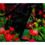 中古邦楽CD 水曜日のカンパネラ / UMA[初回限定盤]