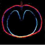  б/у западная музыка CD XTC/wasp* Star ( Apple * venus VOLUME 2)