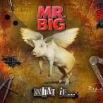 中古洋楽CD MR.BIG/ホワット・イフ・・・[初回限定盤]
