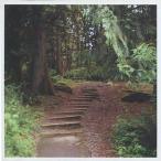 中古洋楽CD TEEN DAZE / The Inner Mansions