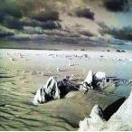 中古BGM CD ローマ聖チェチーリア管弦楽団 / Symphonic Luna Sea II