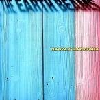 中古ジャズCD 松岡直也/THE EARTH BEAMS