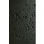 中古ライトノベル(新書) ≪ゲーム≫ ■)METAL GEAR SOLID 3 SNAKE EATER R 特典