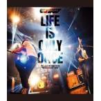 中古邦楽Blu-ray Disc the pillows / LIFE IS ONLY ONCE 201