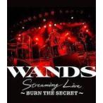 中古邦楽Blu-ray Disc WANDS / WANDS Streaming Live-BURN THE SECRET-