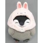 中古雑貨 コウペンちゃん(うさぎさん) マスコット 「コウペンちゃん」 はなまるストア限定