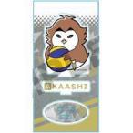 中古アクリルスタンド・アクリルパネル 赤葦京治 ぎゅぎゅっとアクリルフィギュア 「ハイキュー!! TO THE TOP」