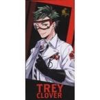 中古雑貨 トレイ・クローバー プレミアムバスタオルVol.1 「ディズニー ツイステッドワンダーランド」