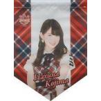 中古雑貨 小嶋陽菜 ミニペナント(1507) AKB48 CAFE＆SHOP限定